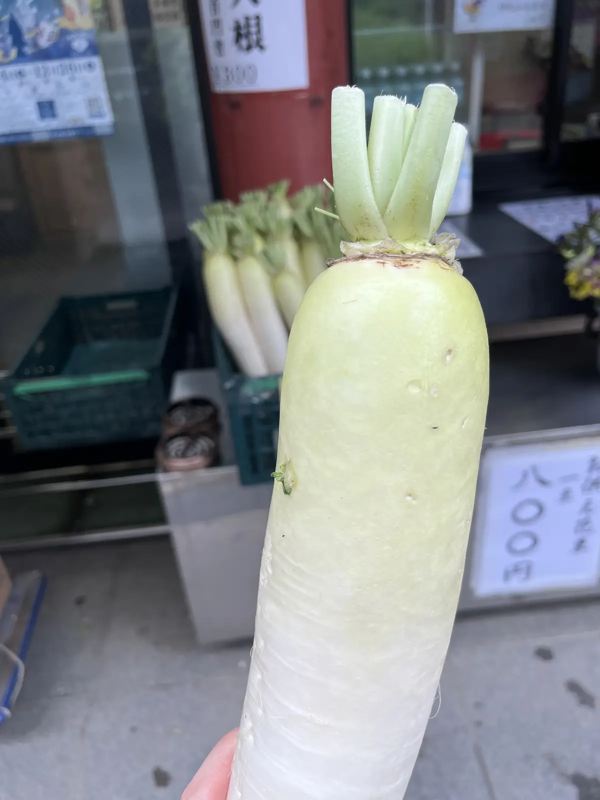 目白から浅草へ『1人でゆる〜く浅草めぐりの画像_6