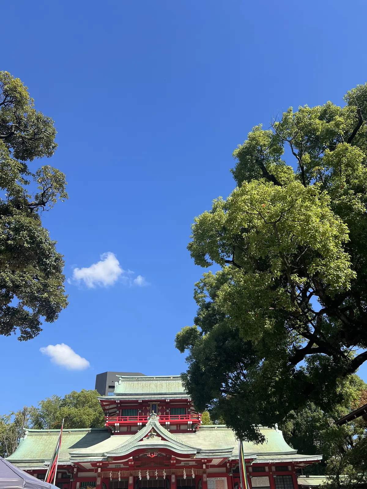 「深川花手水 2024秋」に行ってきましの画像_12