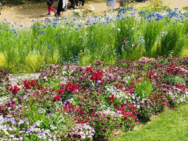 ＊里山ガーデンフェスタ＊Garden Nの画像_4