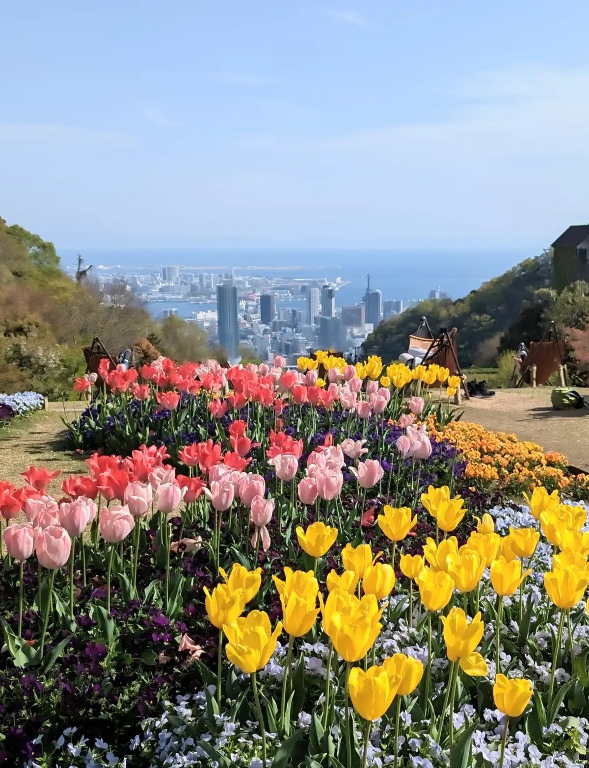 春の散策に、神戸布引ハーブ園への画像_8