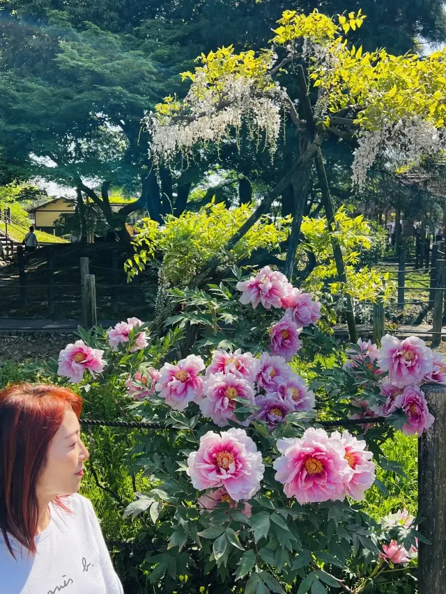 花言葉「あなたを歓迎します」の画像_4