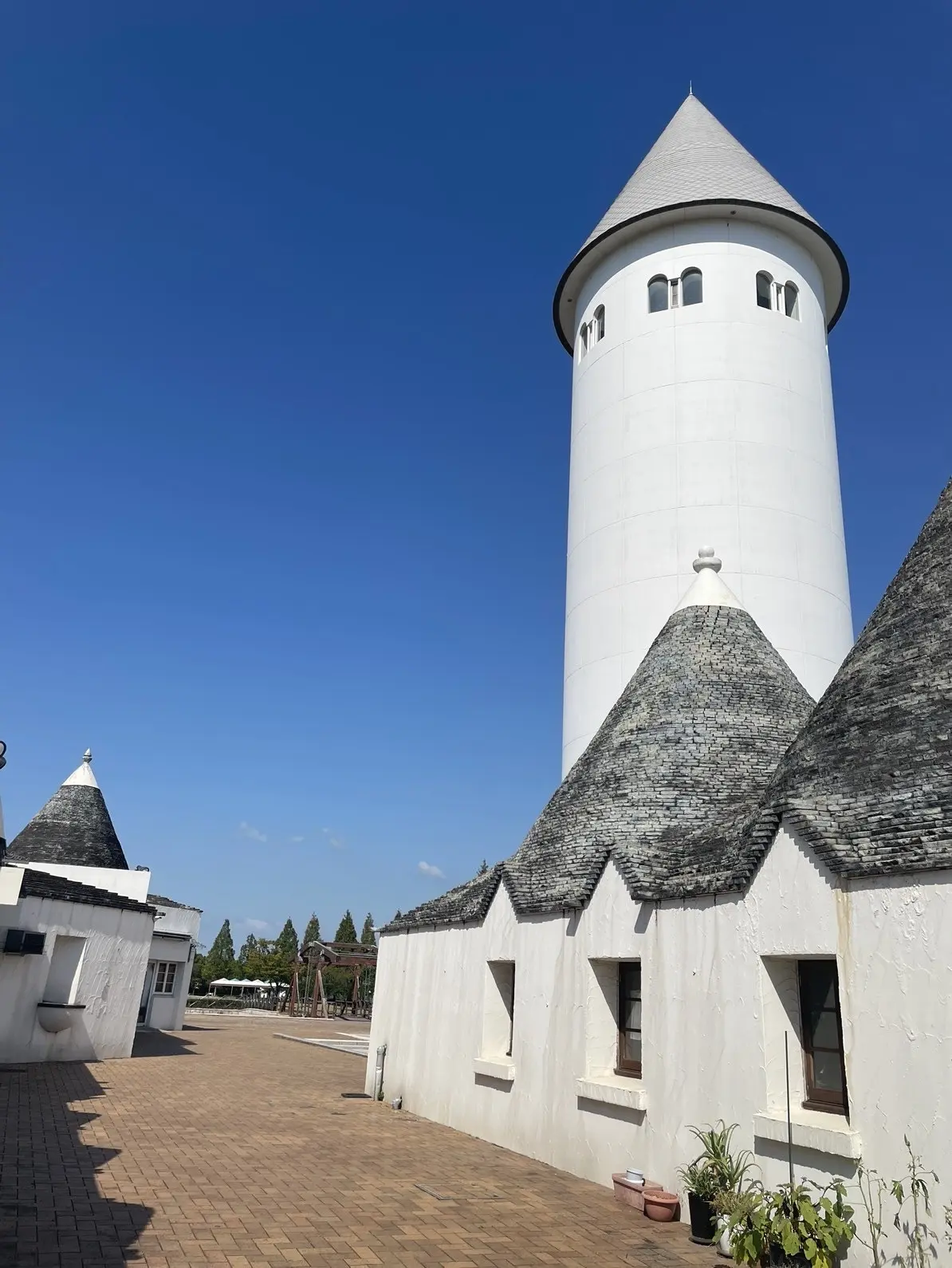 甘さ控えめドラマチックフラワープリントワの画像_3