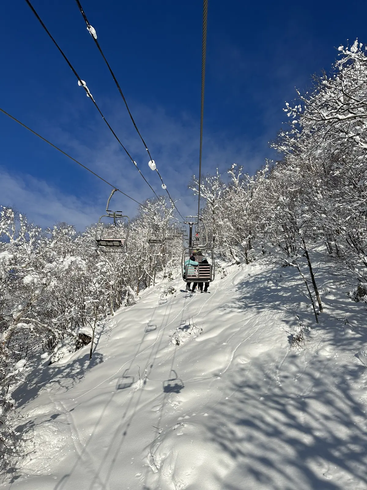 今シーズン初滑りは沢山の魅力に溢れたニセの画像_4