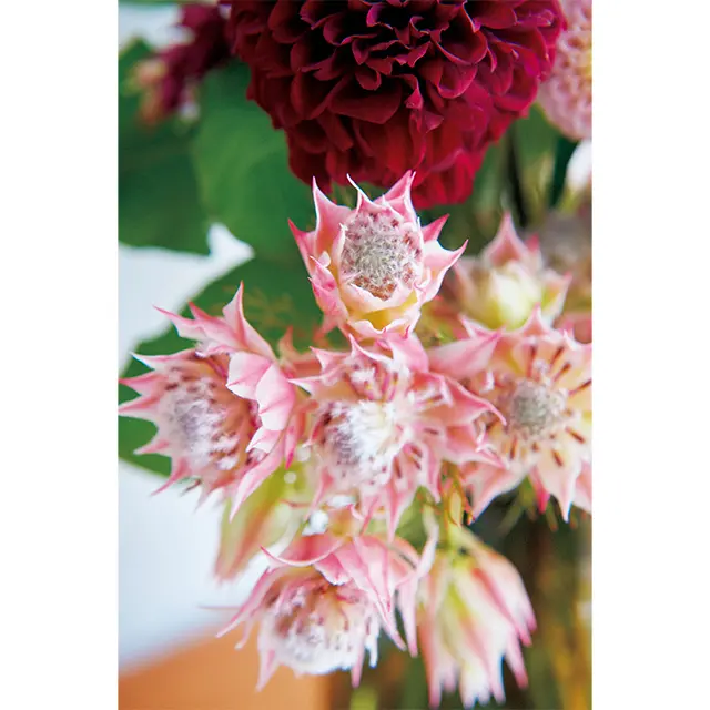 ダリアの色みに合わせながら、花姿や ボリュームの違いで心地よいリズムが