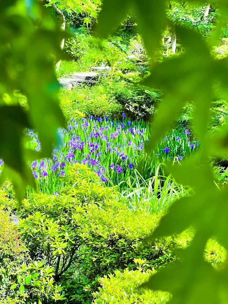 一礼に全てを表す【根津美術館】@表参道の画像_6