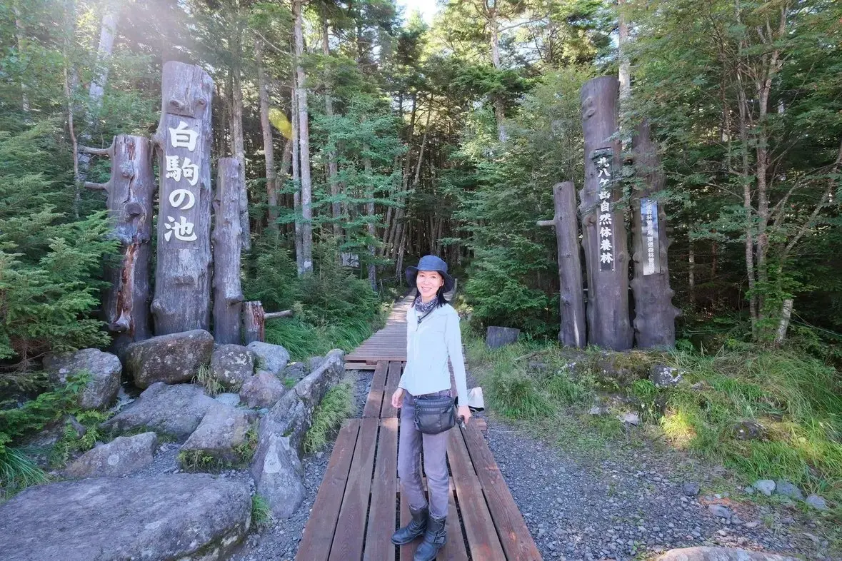 【登山】北八ヶ岳の原生林と神秘的なコケの森へ