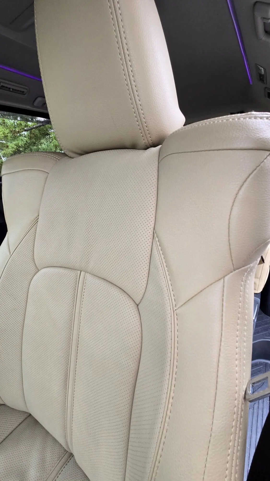 エクラ 華組大岩三智子さんの愛車のシート