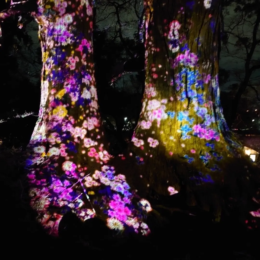 光の祭典を楽しんできましたの画像_5