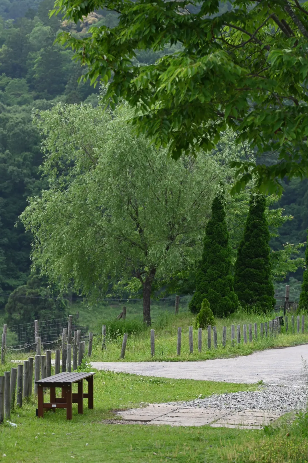 イングリッシュガーデン"風"じゃない！！の画像_17