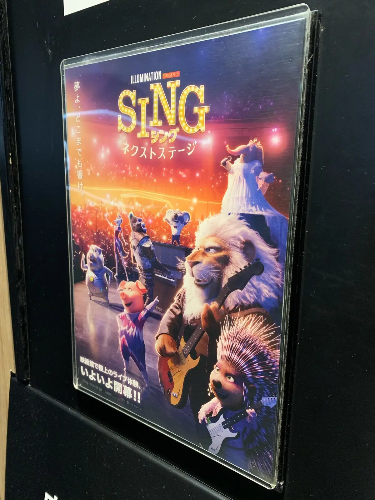 ４日連続の映画鑑賞の画像_3