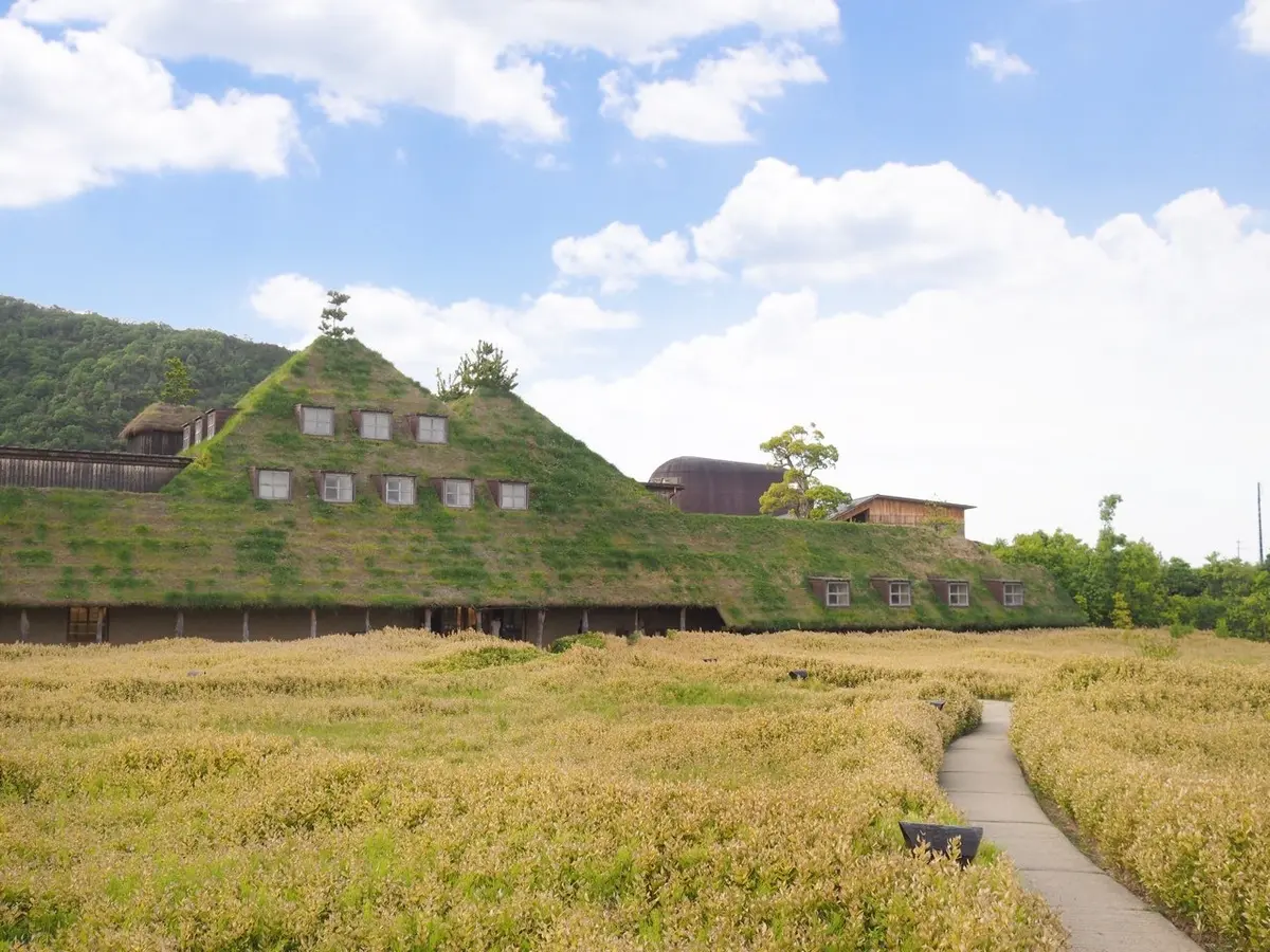 「自然に学ぶ」がコンセプトの「ラ コリーナ近江八幡」