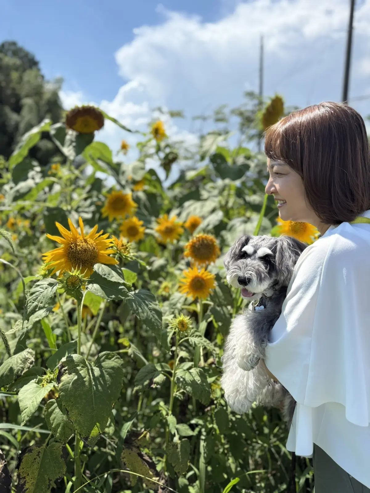 エクラ華組　梅澤千佳子　那須高原　ひまわり