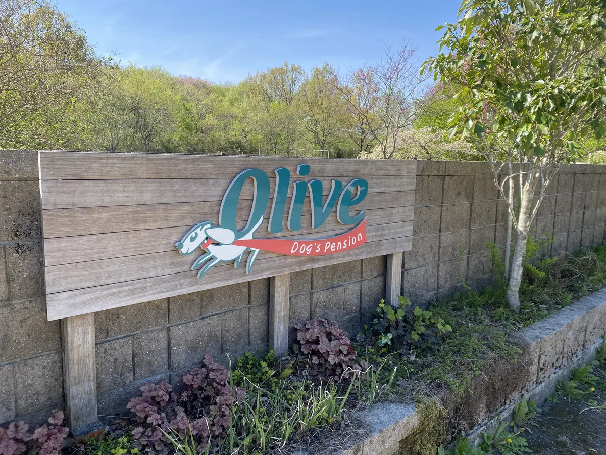 ペンションオリーブ