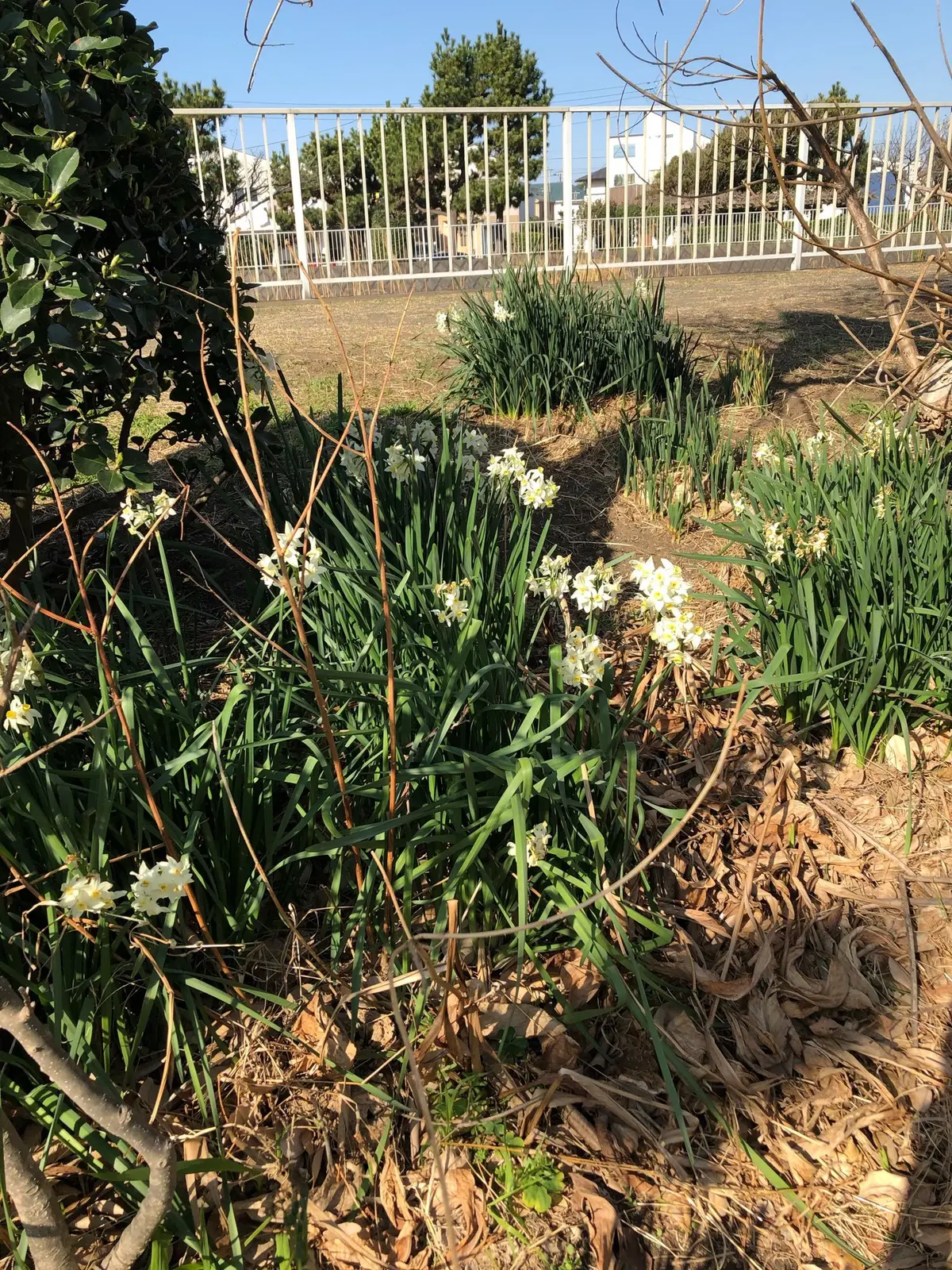 大切にしている事〜健康編〜(ランニング)の画像_5