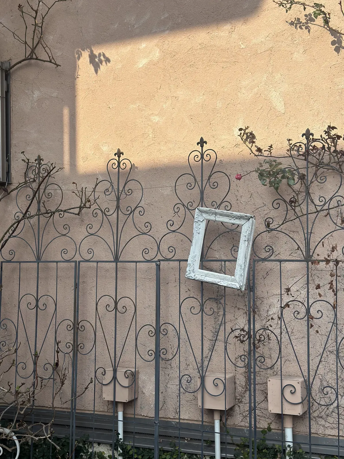 春分あけ、春の陽気に包まれて・・・の画像_3