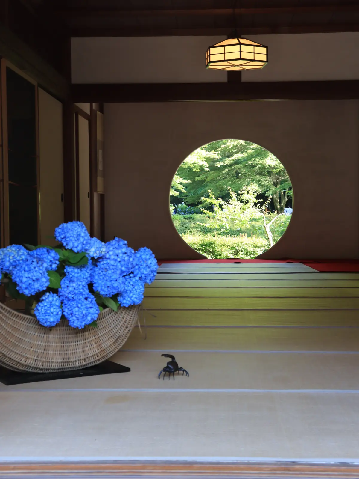 明月院の円窓　悟りの窓