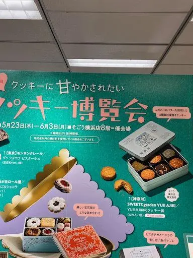 曇り空でも気持ち良い横浜みなとみらいの画像_10