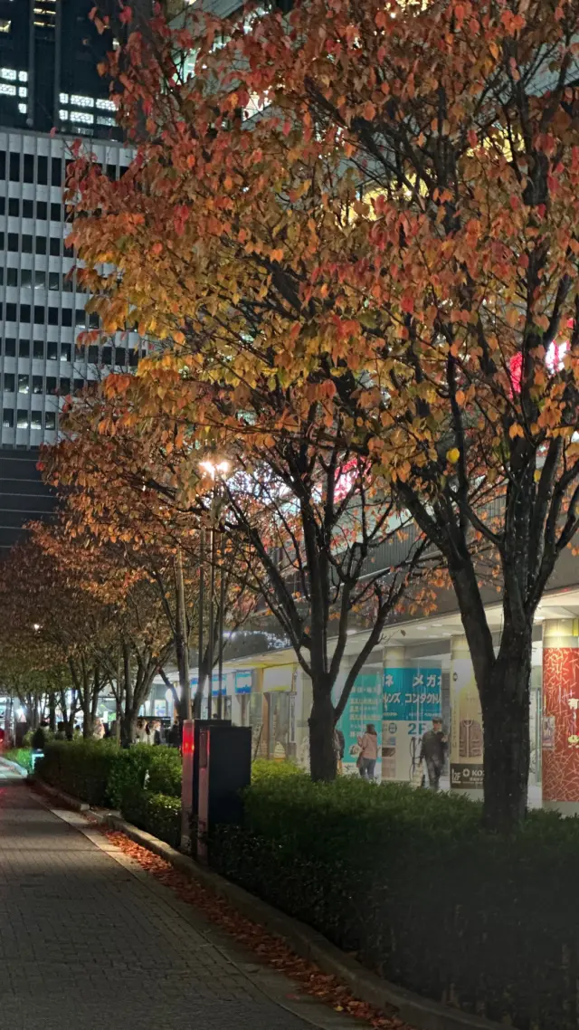 ベージュ&カーキで秋色ファッション。の画像_2