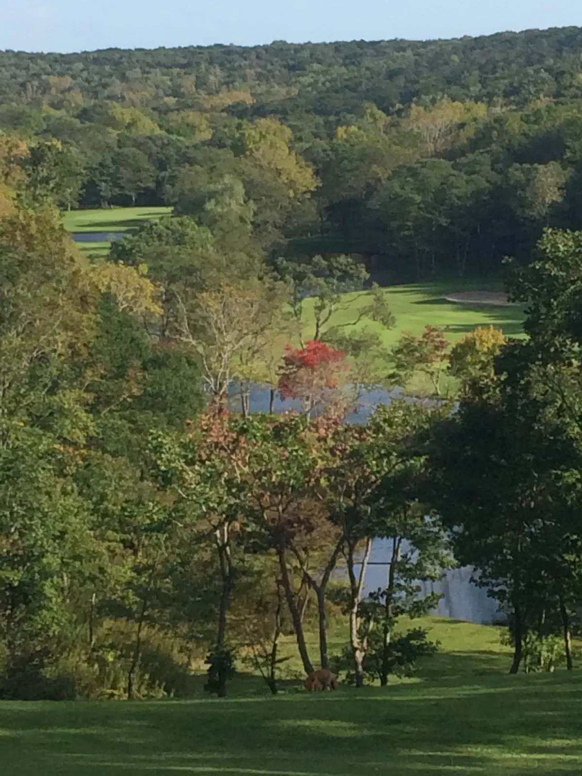 北海道　苫小牧　ニドム　ゴルフ　ピリカの誘惑