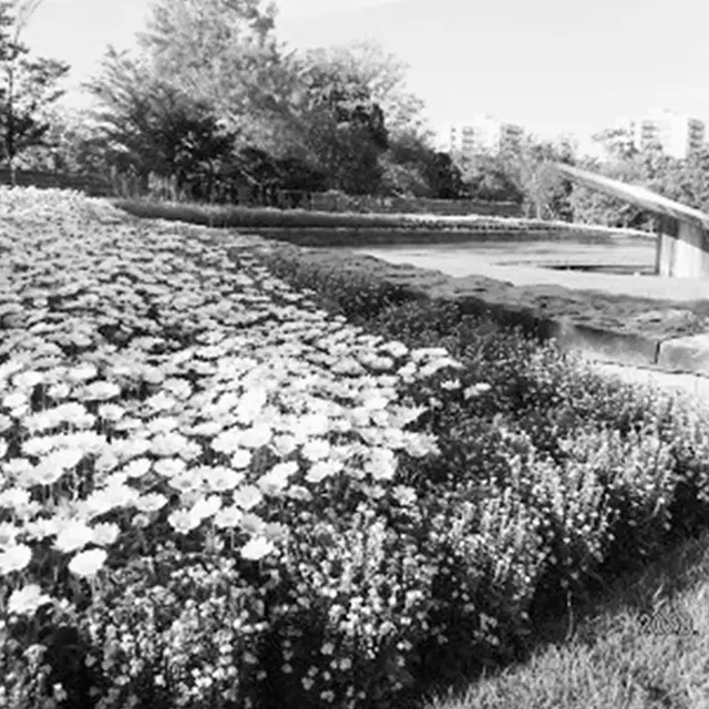 花と緑に囲まれ