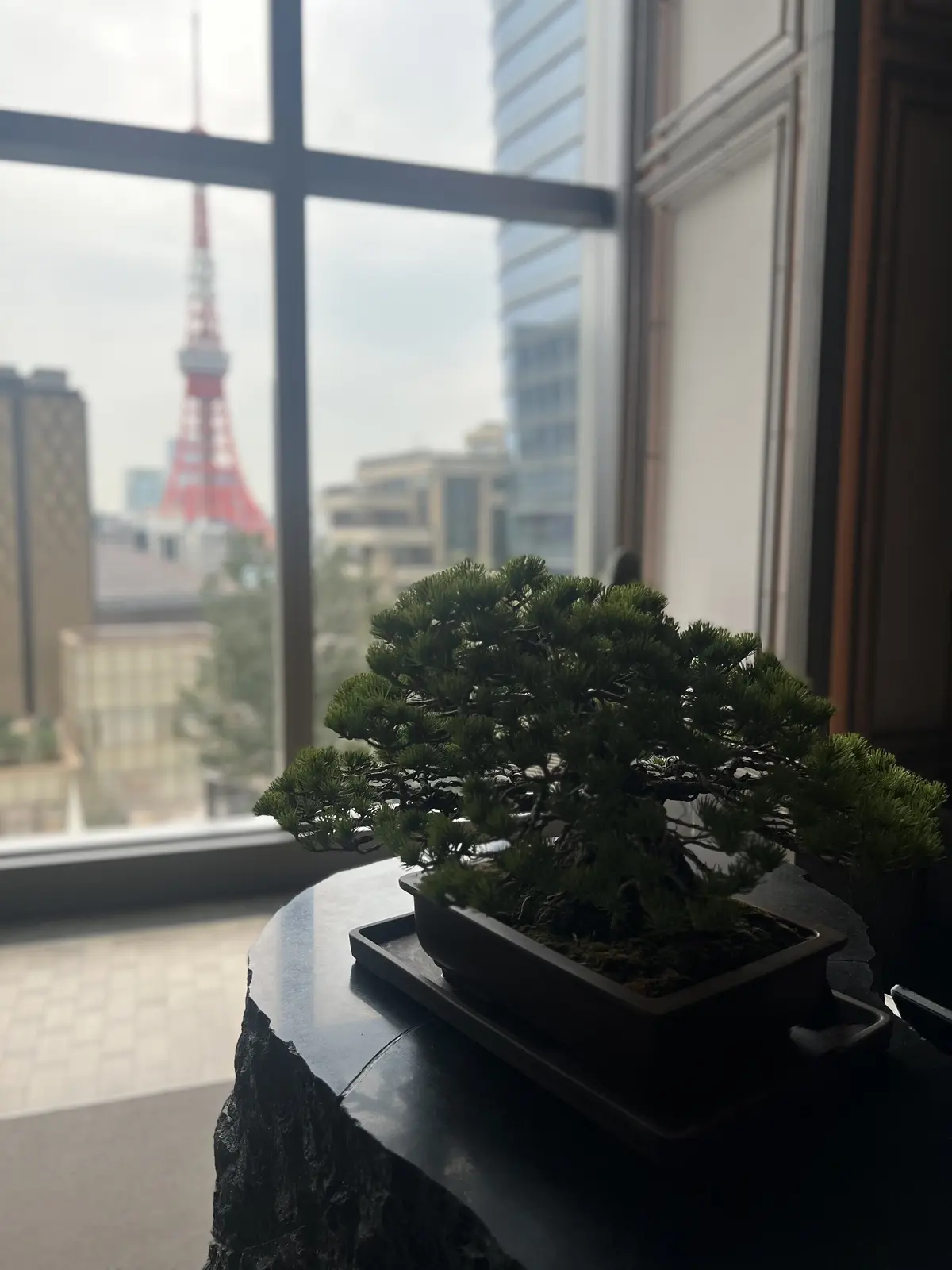 華リュクスなトップスがあれば春が楽しい♡の画像_12