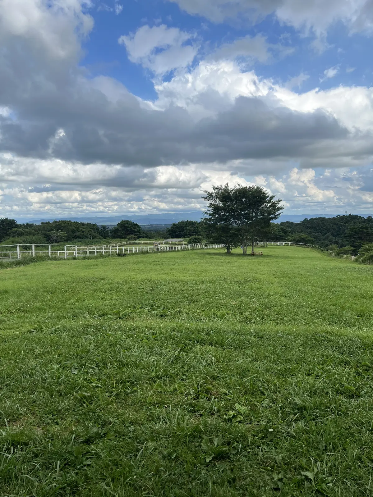 なんて広いドッグラン！！！