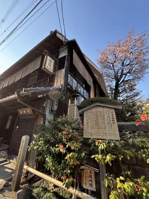 春の伏見で、桜とやさしい時間をの画像_6