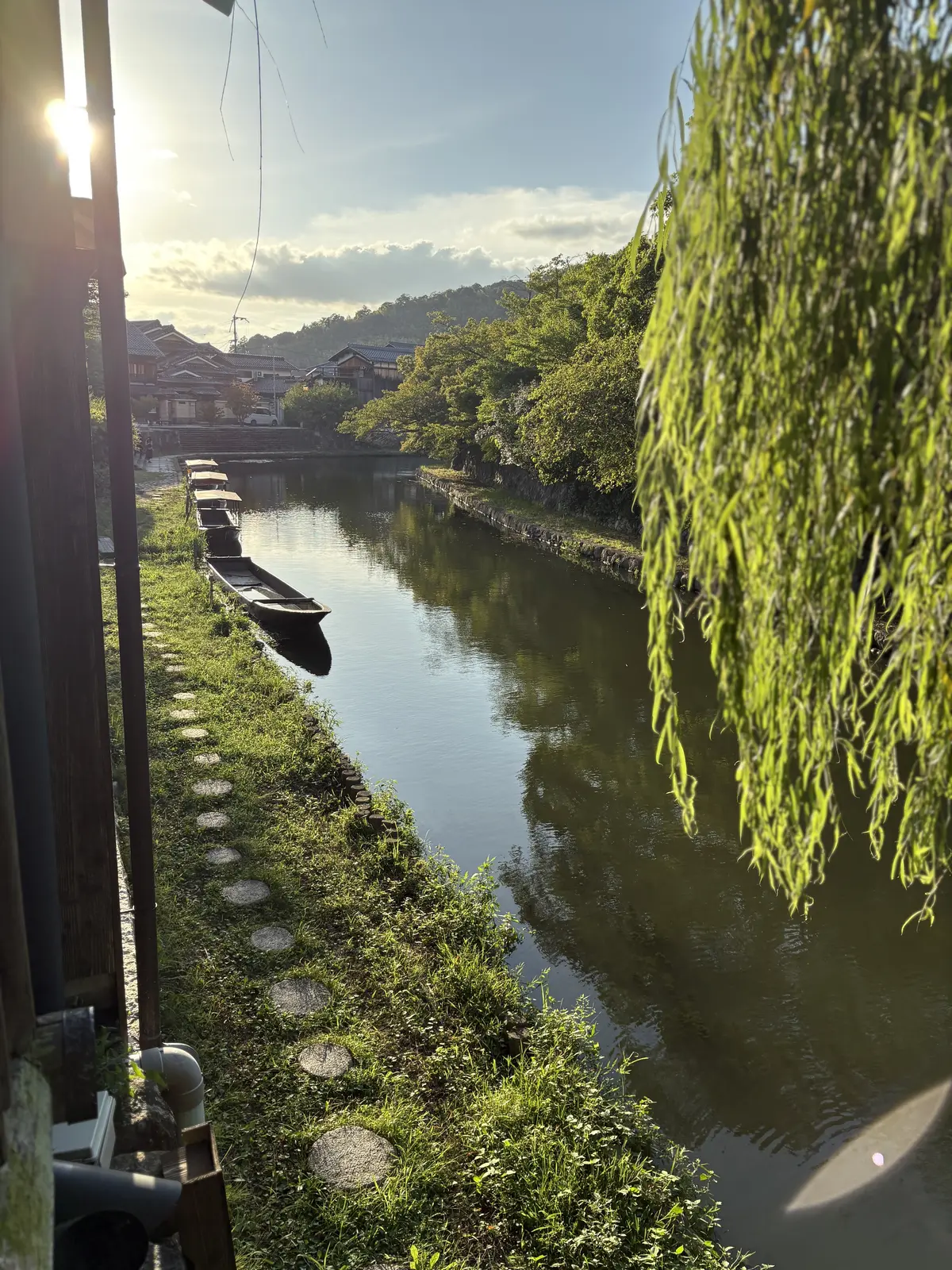 近江八幡さんぽと看板犬がいる「仁之助珈琲の画像_1