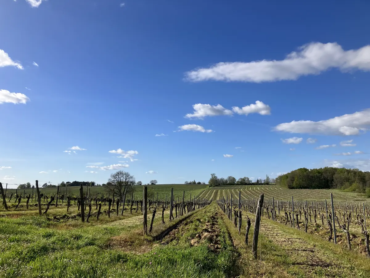 フランス旅行#3 ボルドー地方編の画像_3