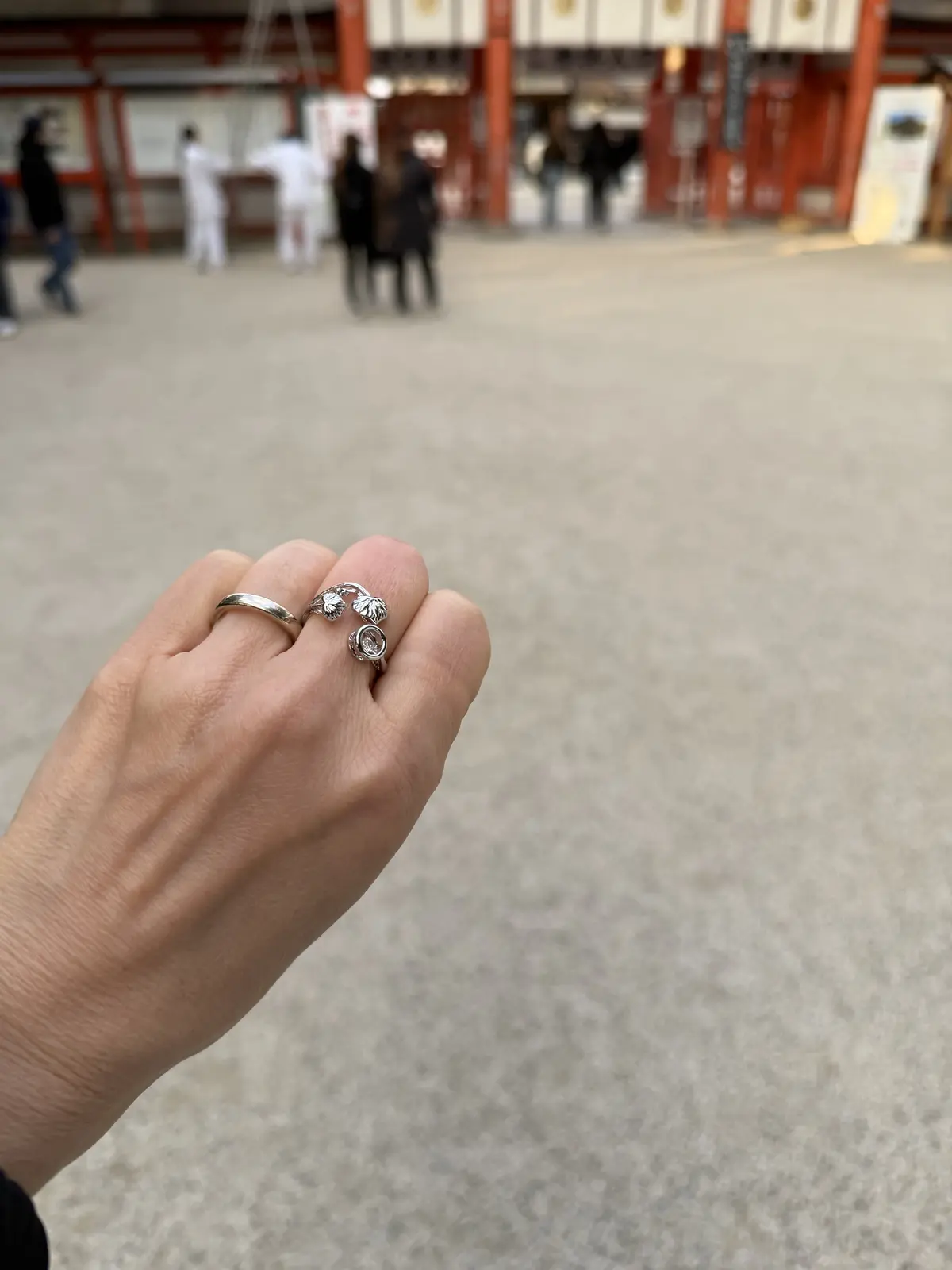 京都にて七草粥とお正月特別懐石料理の会の画像_3