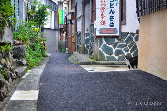 【さかぽんの冒険】プチトリップ@奥多摩❤の画像_12