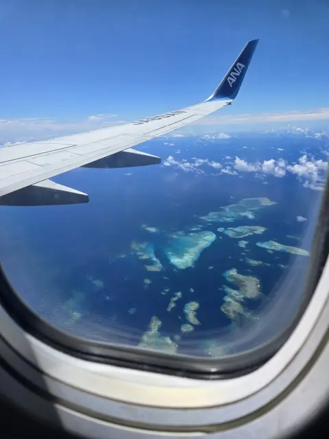 伊良部島で過ごす4度目の夏 私が帰りたくの画像_1
