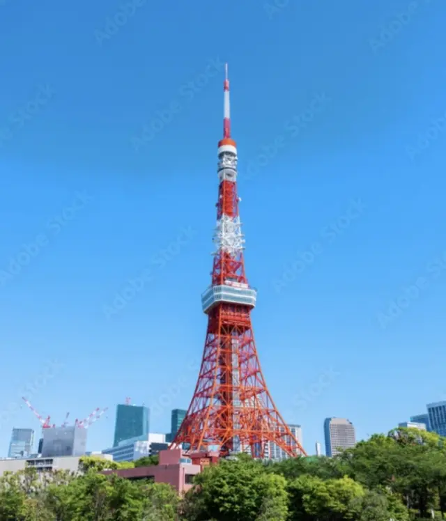 期間限定、バラのアーチと東京タワーのコ の画像_3