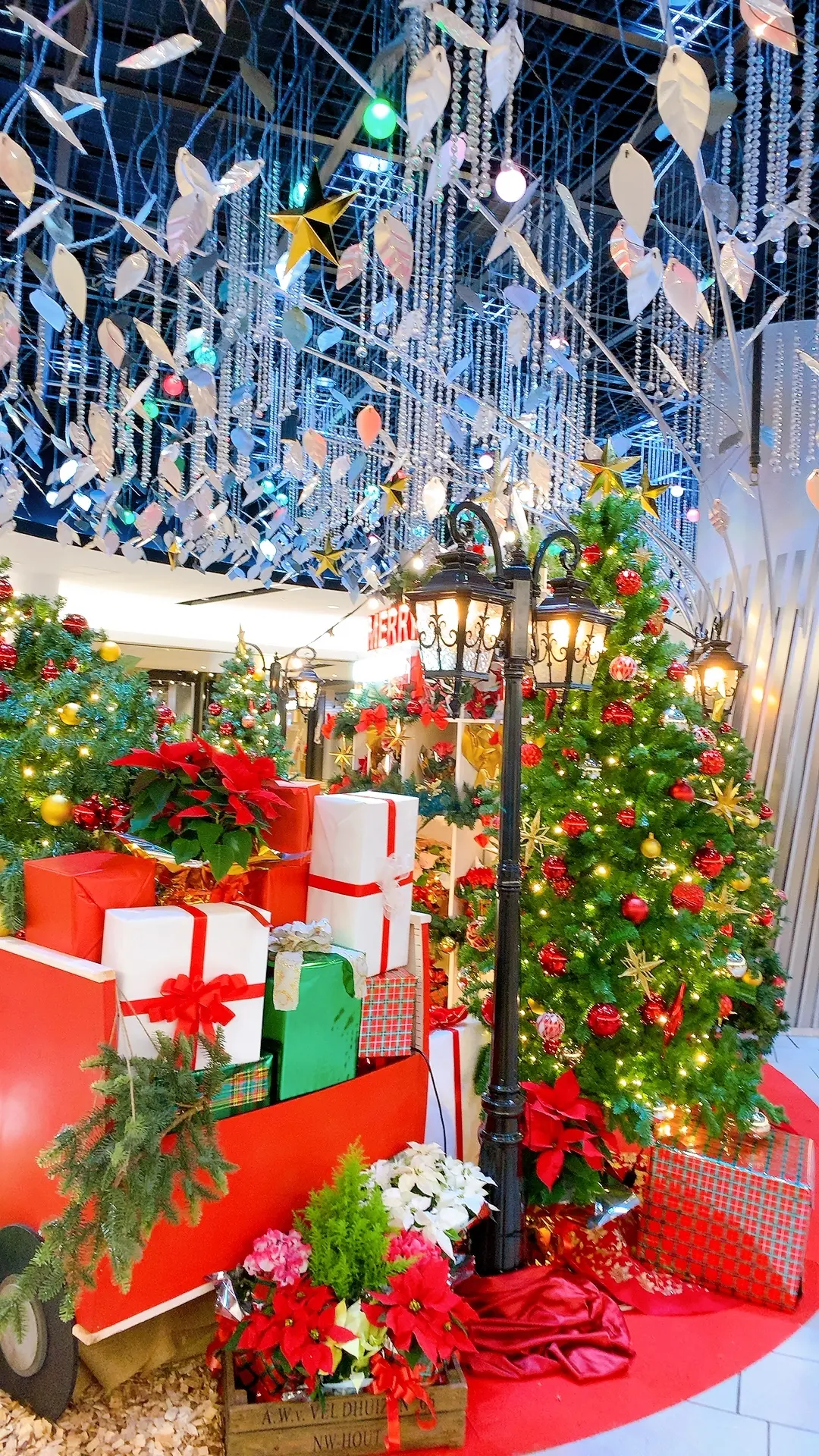 神戸牛すきやき♥うめキタ♥クリスマスモーの画像_12