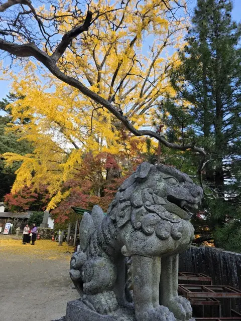 秋の紅葉とランチの画像_8