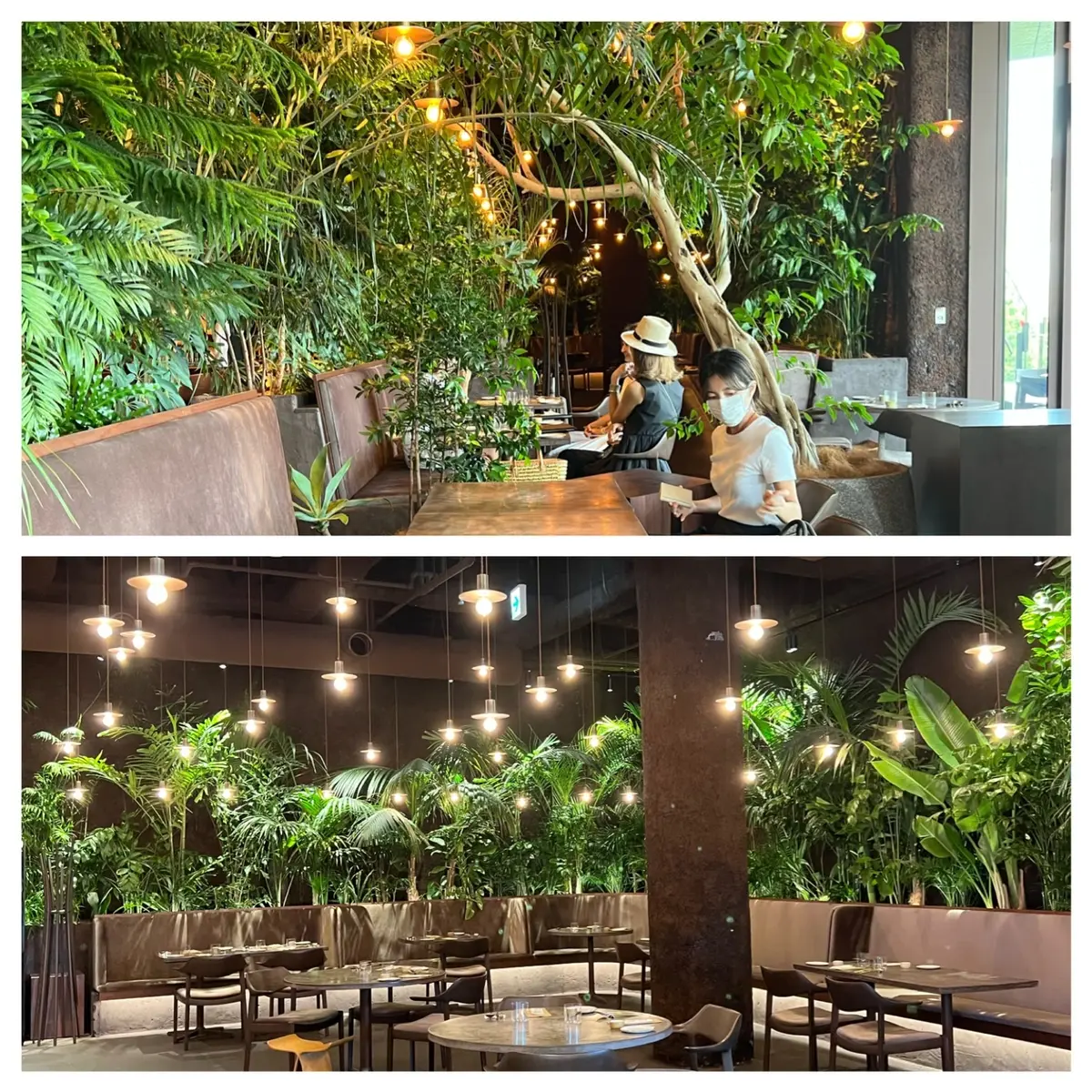 最近の昼夜女子会3スタイル＆オススメ3スの画像_20