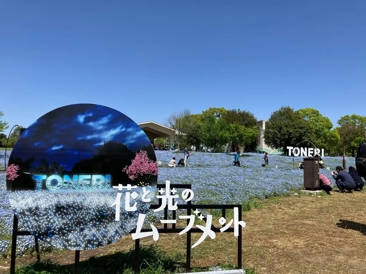 お花見　ネモフィラ　舎人公園　ネモフィラブルー　ネモフィラソフト　お散歩　白スニーカー　GU  ワンピース　都内お散歩　都内のネモフィラ　23区最大のネモフィラ　ブラックワンピース　五分袖ワンピース