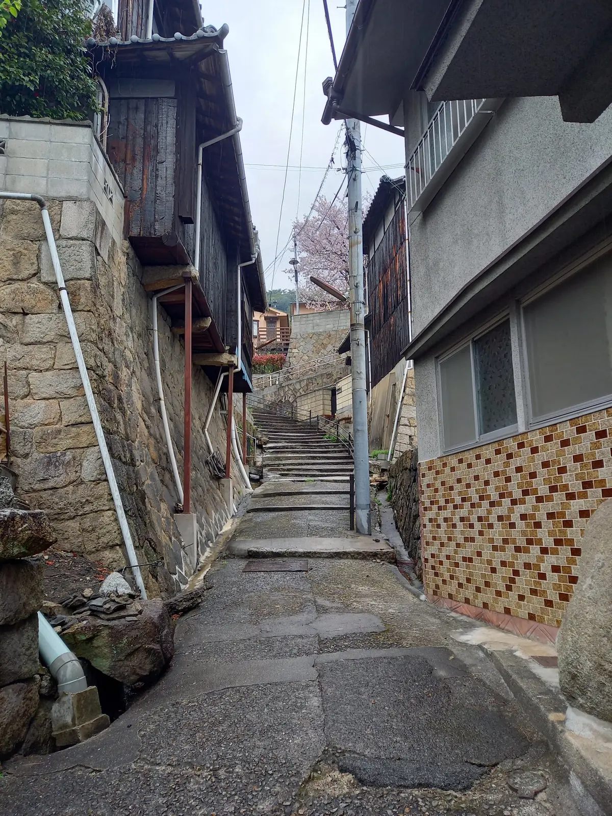 尾道