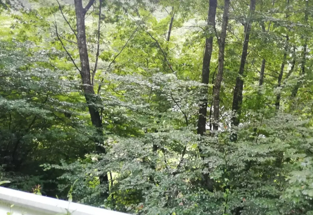 穂高養生園でリトリート２　の画像_2