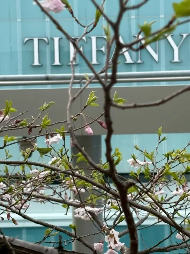 シンガポール料理と銀座シックスの屋上庭園の画像_5