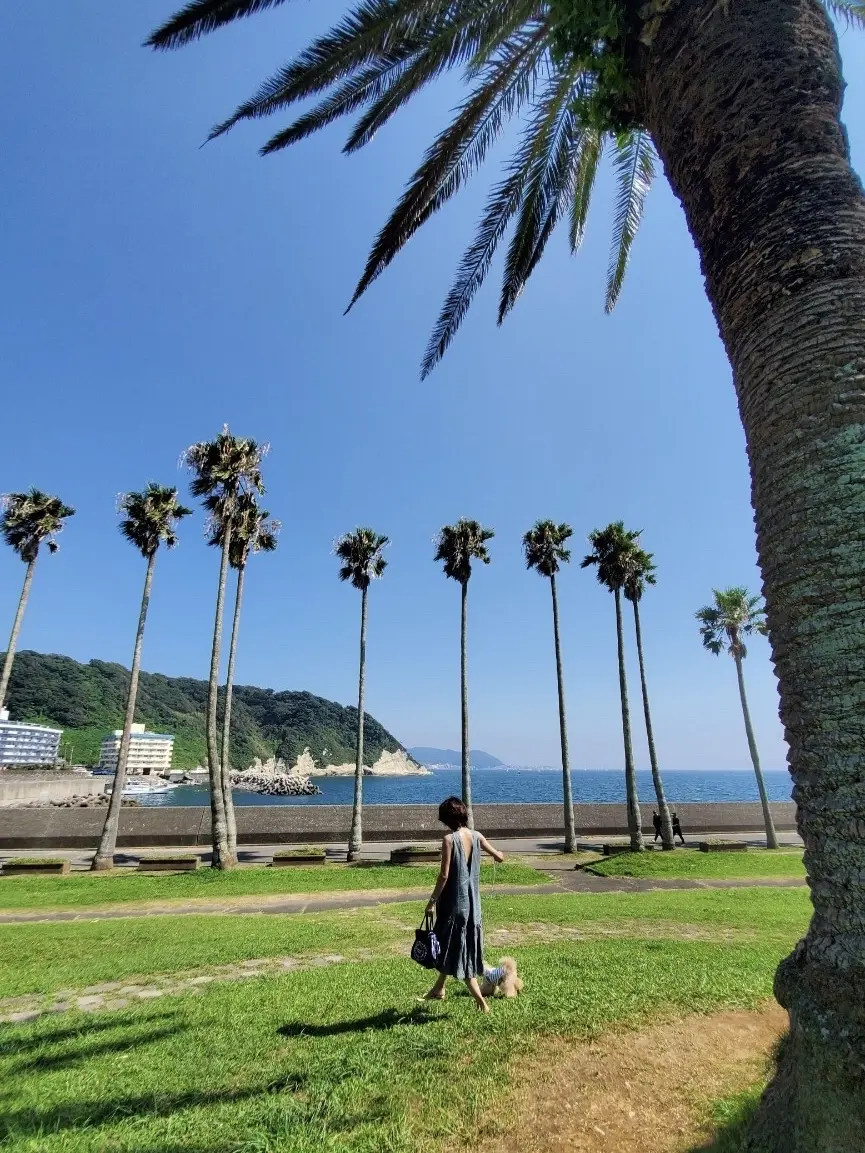 ワンコと一緒の夏休みの画像_1