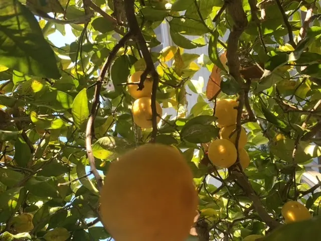 『Happy New Year 2022の画像_7