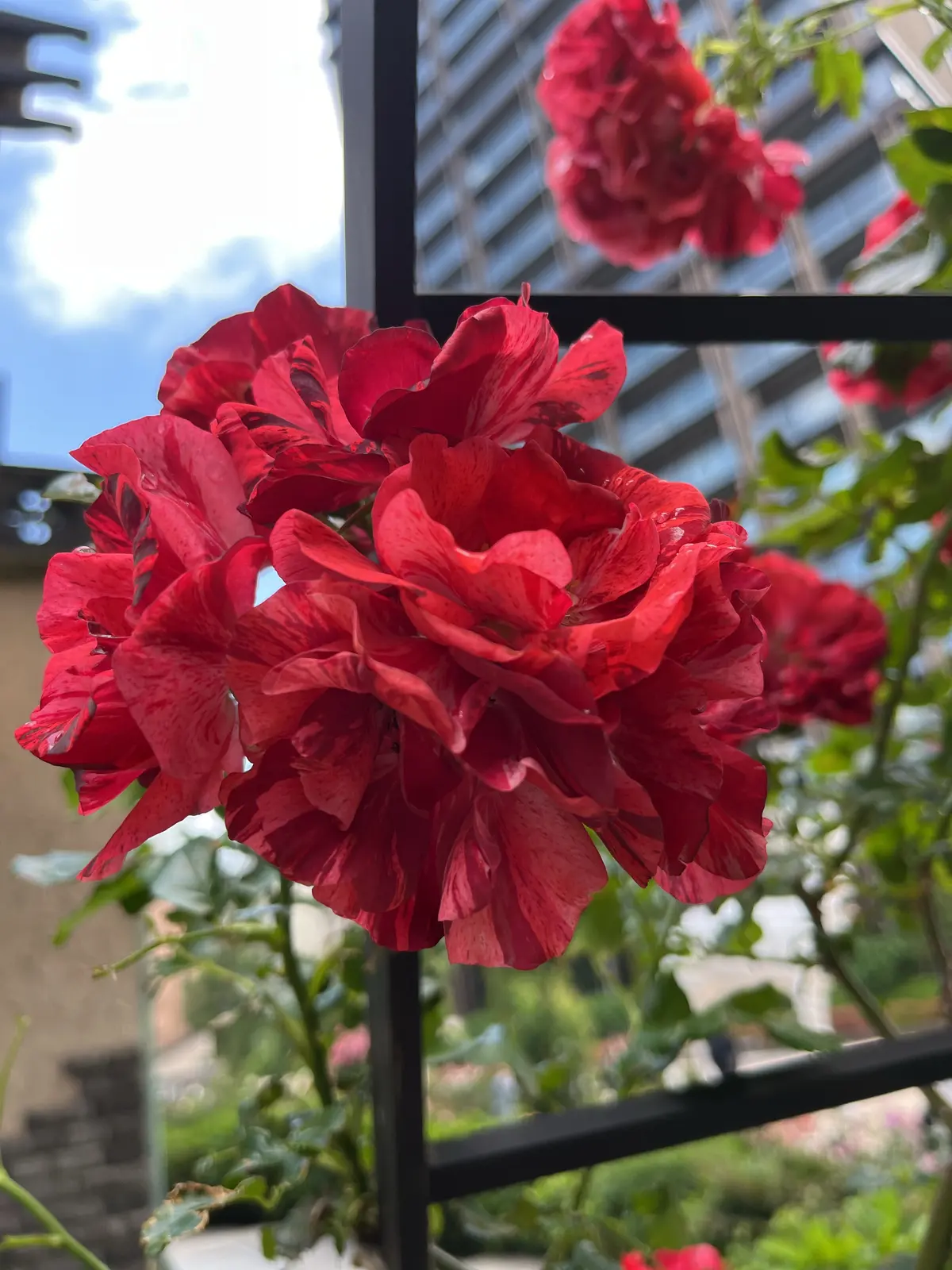 1人時間を楽しむ。銀座＆紀尾井町編その②の画像_15