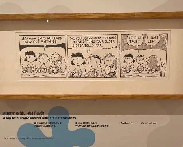 50代になった今こそ、ルーシーに注目！スの画像_4