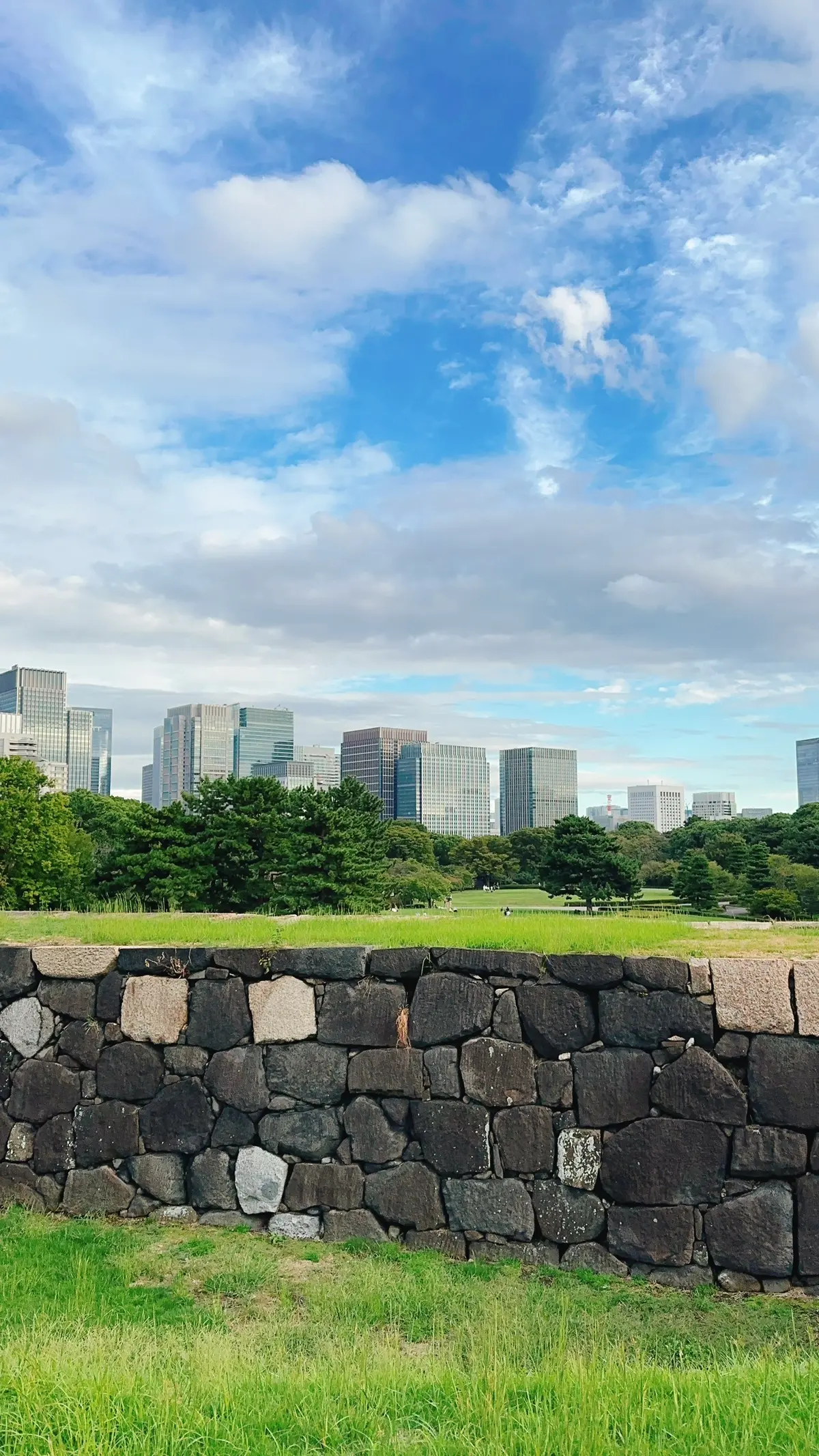 皇居の天守台からの景色