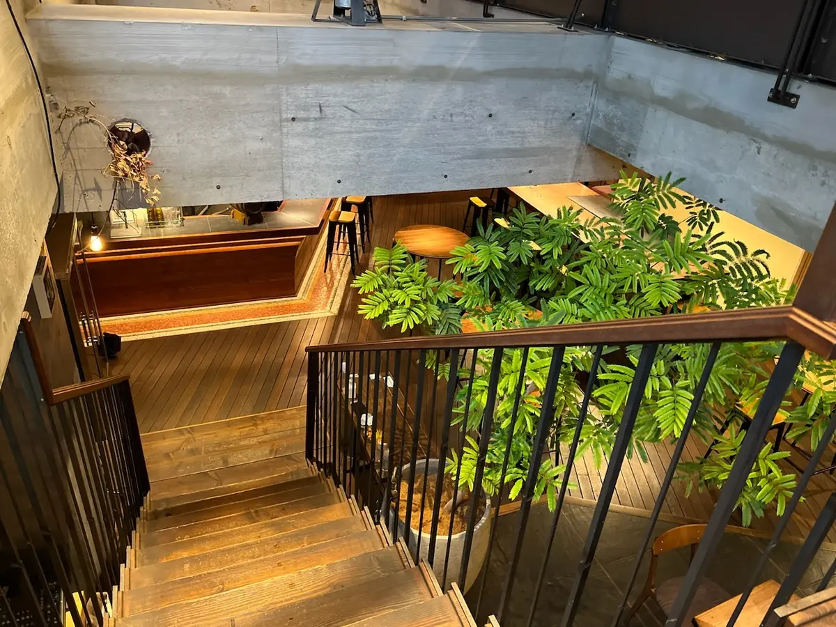 大人の帽子コーデ♡日本橋で朝ごはんの画像_5