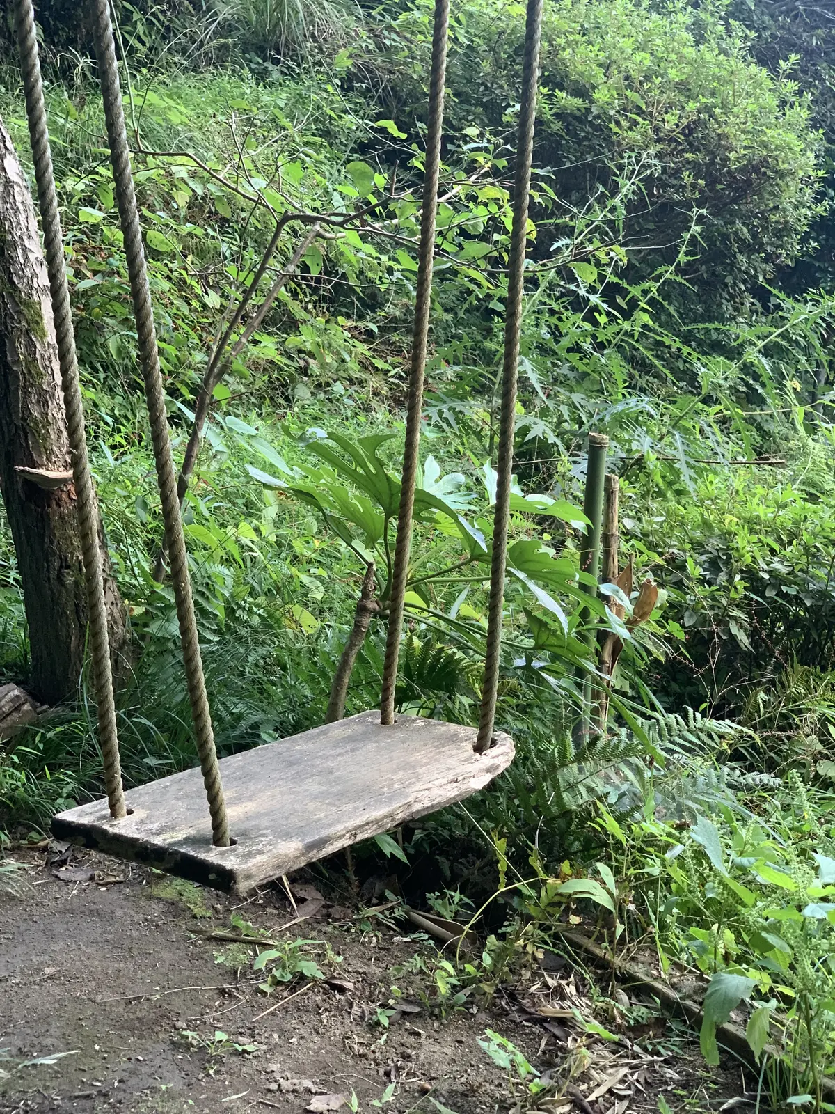 イザヤタイムアンドスペース　Isayah TIME AND SPACE