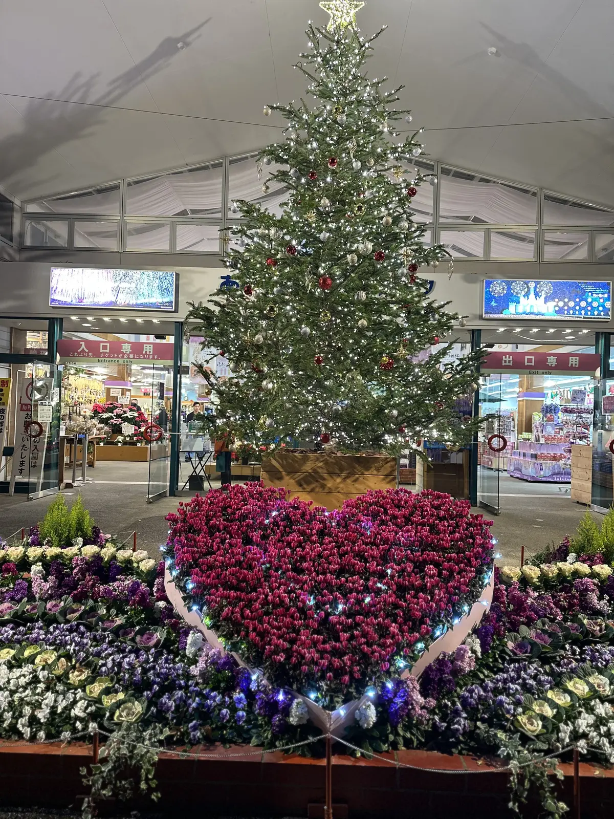 ため息が出るほど綺麗なあしかがフラワーパの画像_1