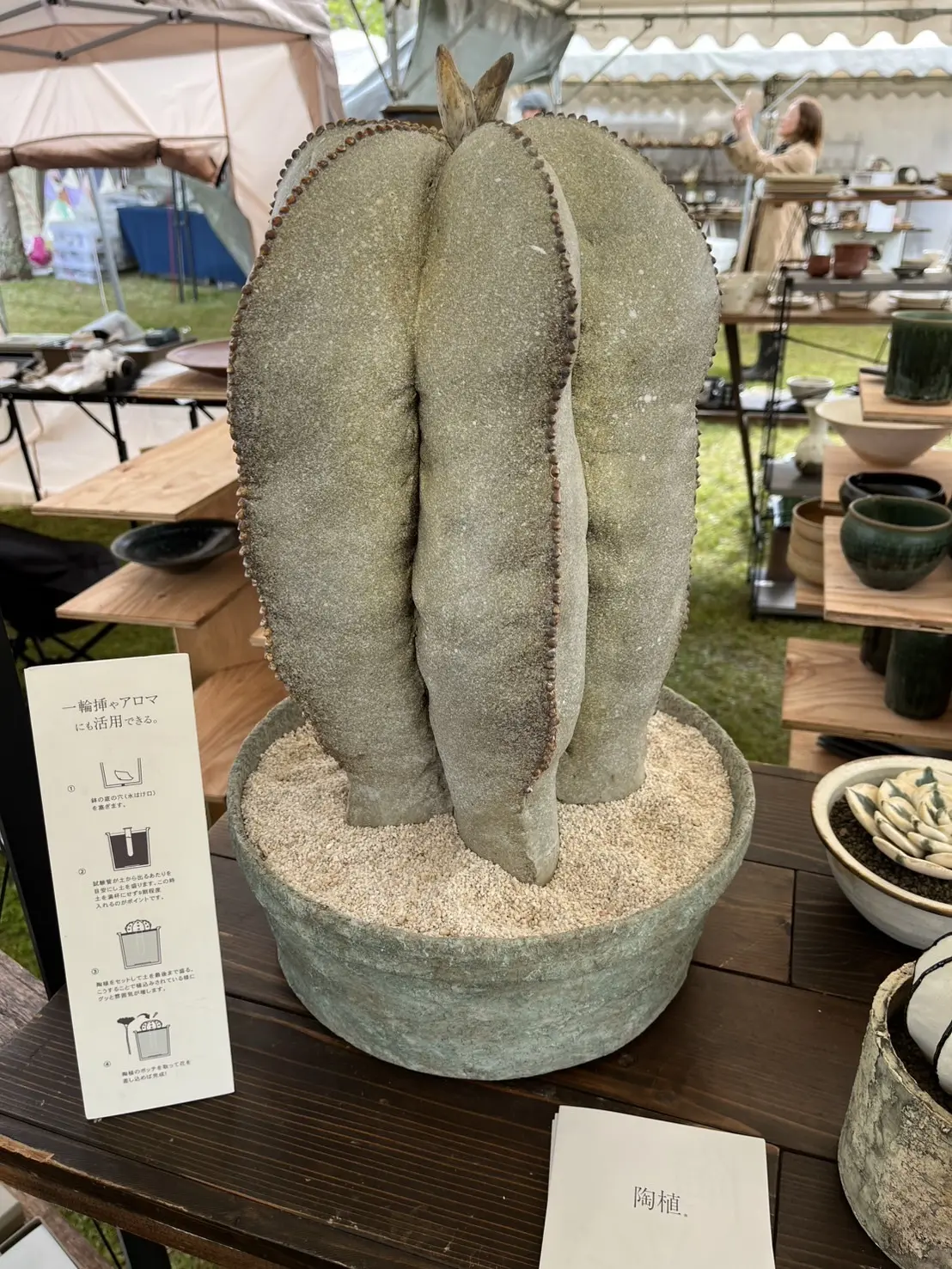 信楽焼作家市に今年もやってきました。‼️の画像_2