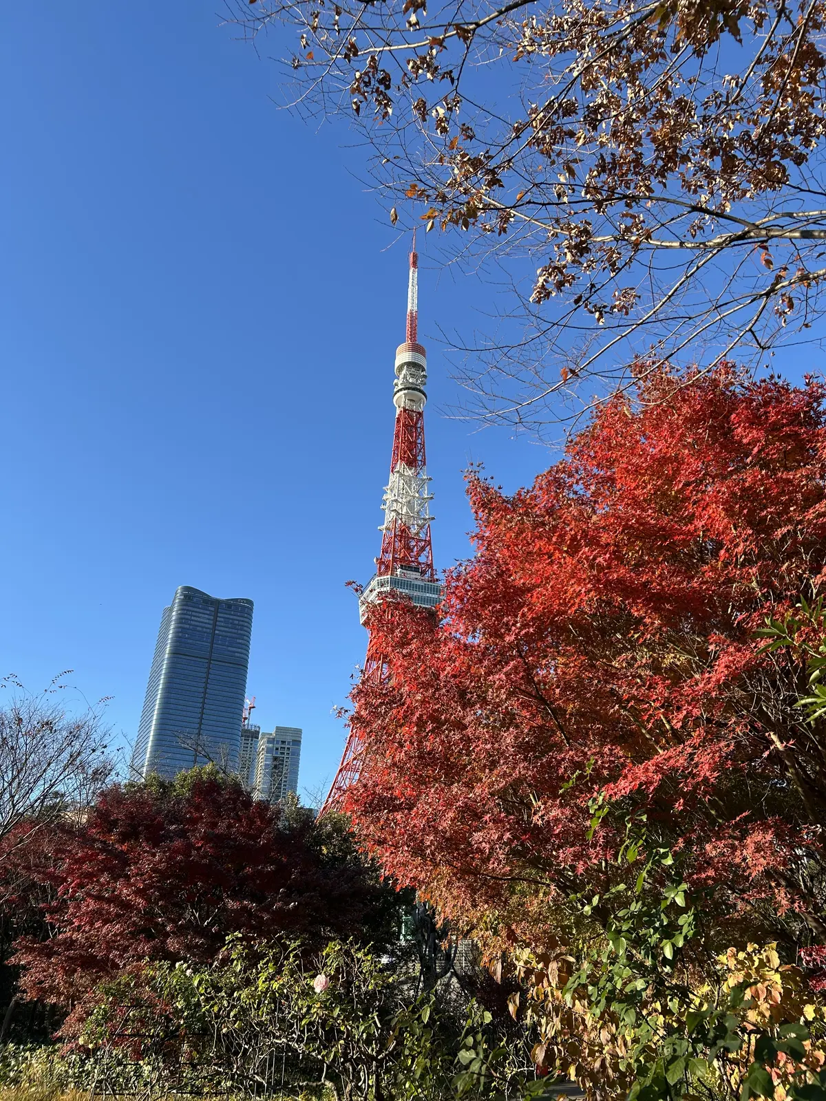 開運コーデ　運を呼び込むファッション⭐︎の画像_6